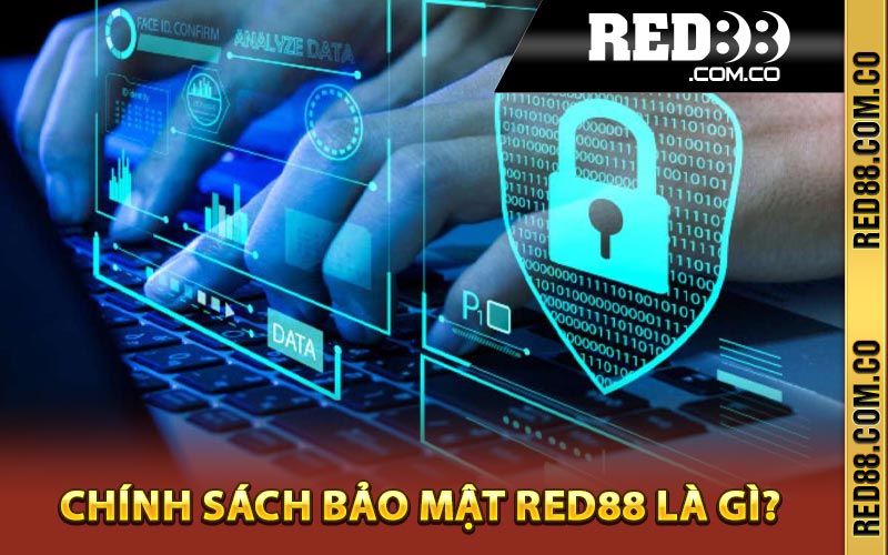 Chính sách bảo mật Red88 là gì?