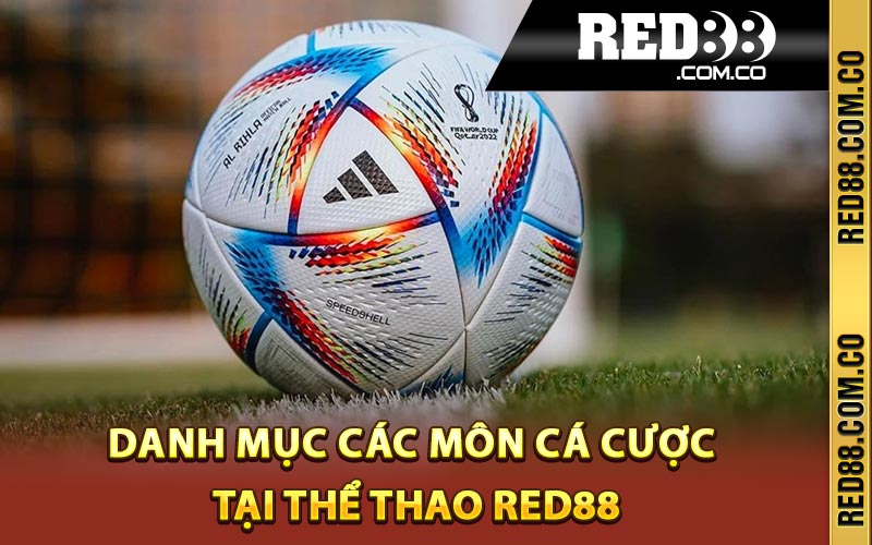 Danh mục các môn cá cược tại thể thao Red88