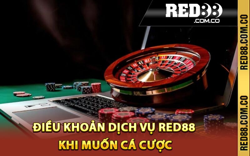 Điều khoản dịch vụ Red88 khi muốn cá cược