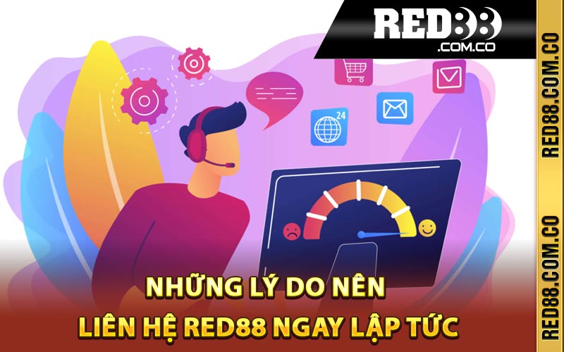 Những lý do nên liên hệ Red88 ngay lập tức